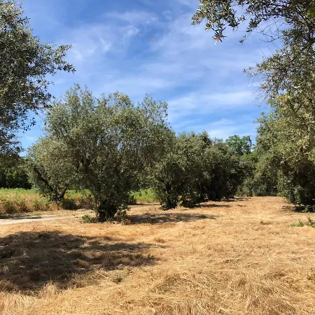 Quinta De Sao Francisco Casa vacanze